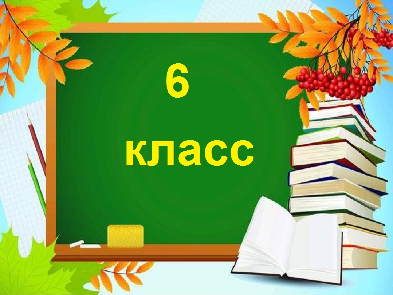 6 класс